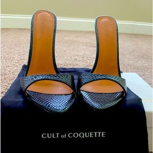 Brand new Cult of Coquette heels. Very sexy and brand new.